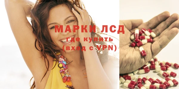 индика Сафоново