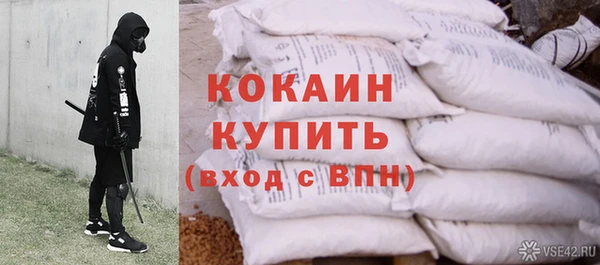 индика Сафоново