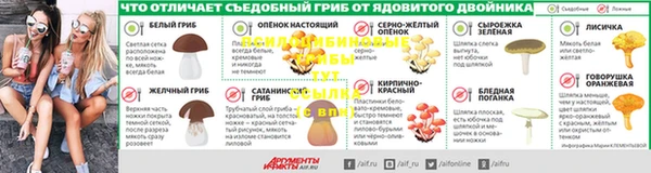 индика Сафоново