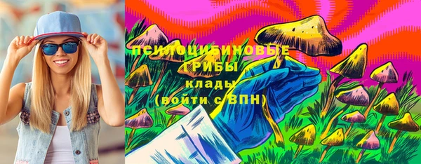 PSILOCYBIN Сатка