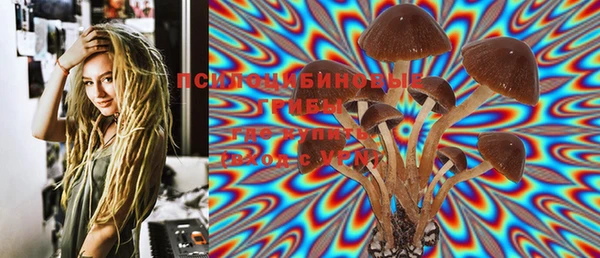 PSILOCYBIN Сатка