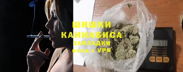 PSILOCYBIN Сатка