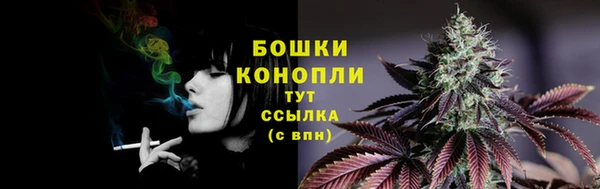 PSILOCYBIN Сатка