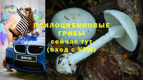 mdpv Саяногорск