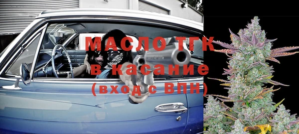 индика Сафоново