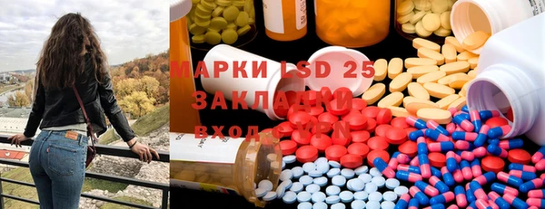 индика Сафоново