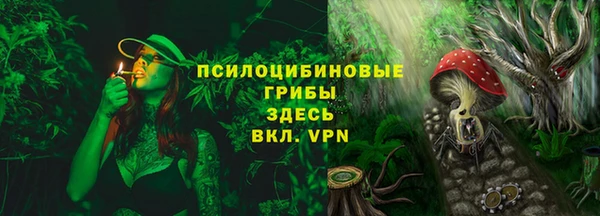 PSILOCYBIN Сатка