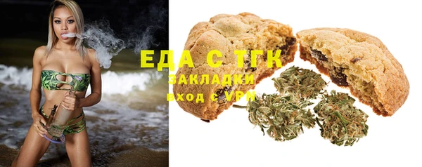 индика Сафоново