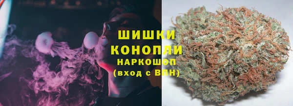 PSILOCYBIN Сатка