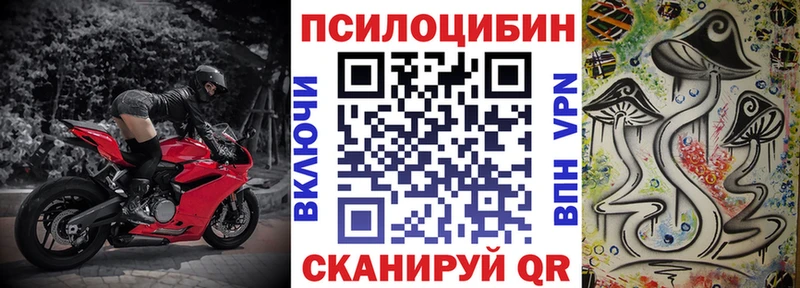 Галлюциногенные грибы мицелий  даркнет Telegram  Туран 